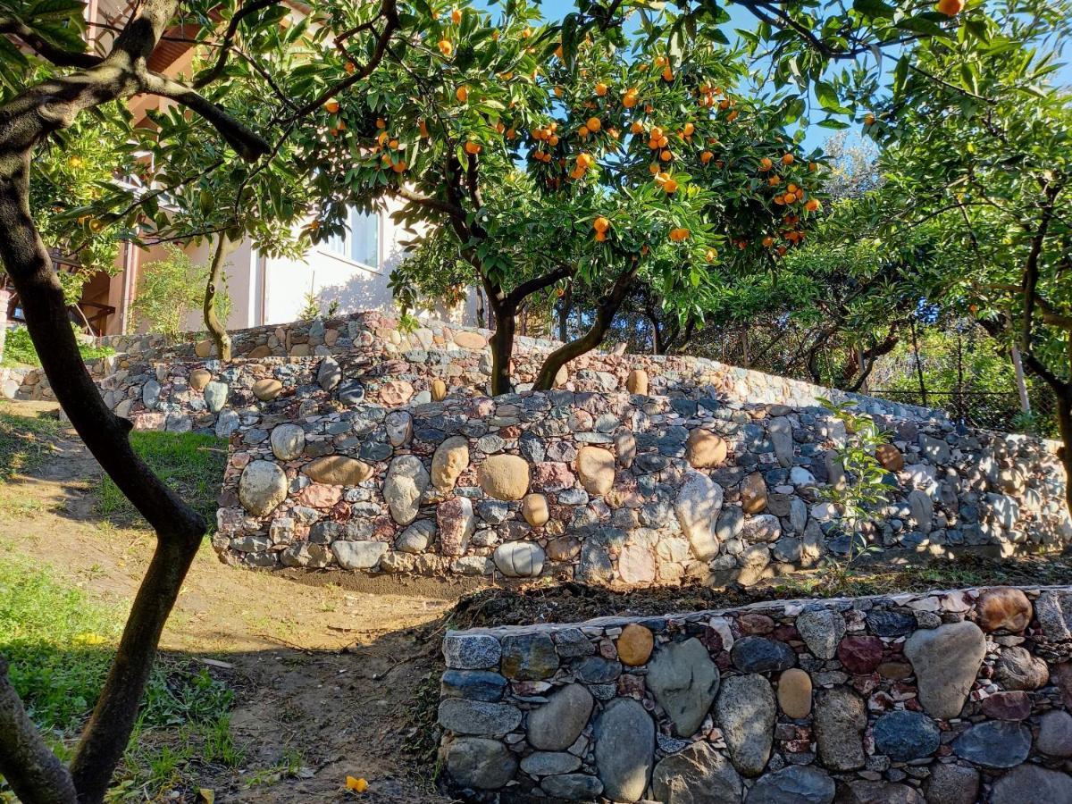 Samida Hotel New Athos ภายนอก รูปภาพ