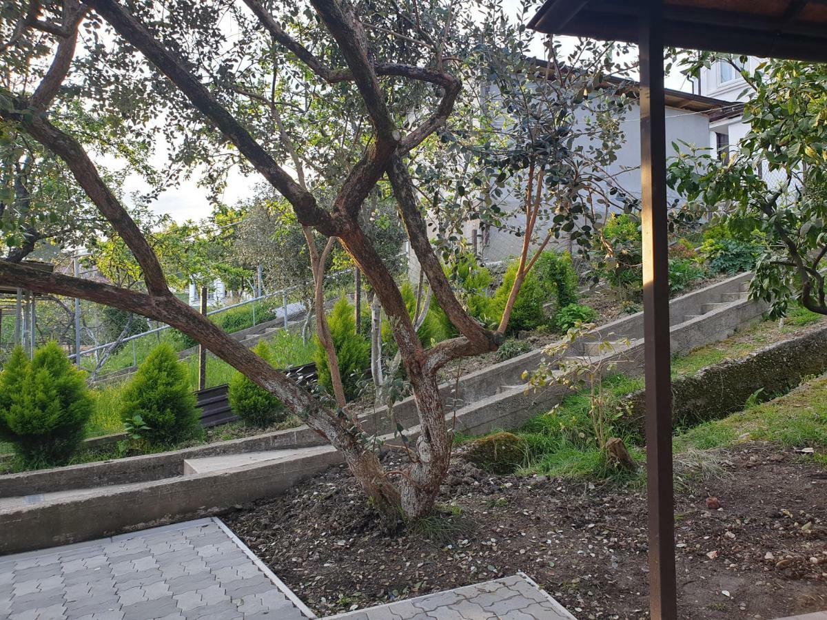 Samida Hotel New Athos ภายนอก รูปภาพ